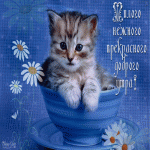 Нежного утра!